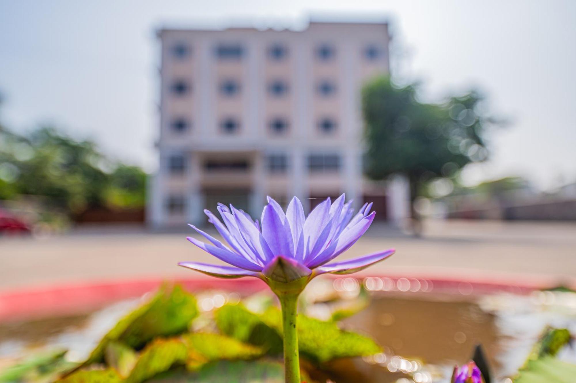 Lotus Leaf Hotel Pali  Exterior photo